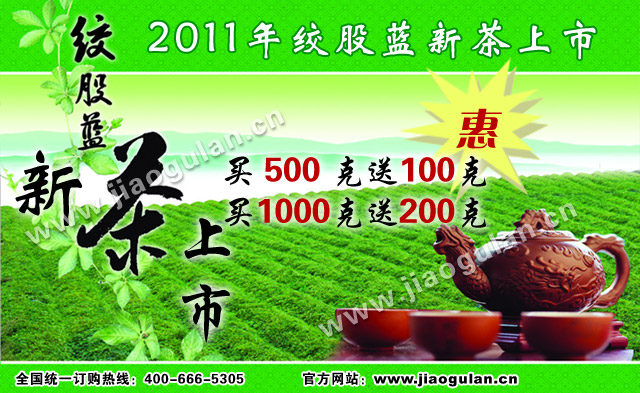 2001年绞股蓝新茶