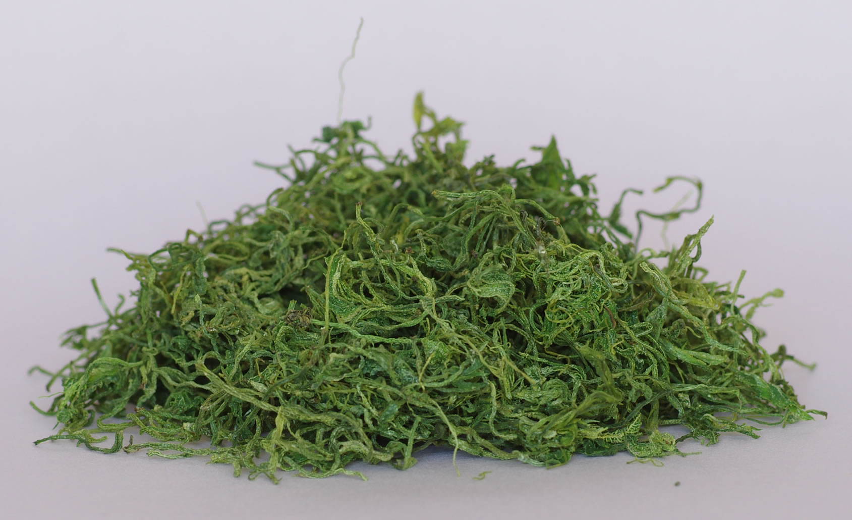 绞股蓝减肥怎么样