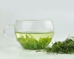 绞股蓝的功效与作用