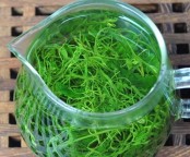 绞股蓝的功效与作用